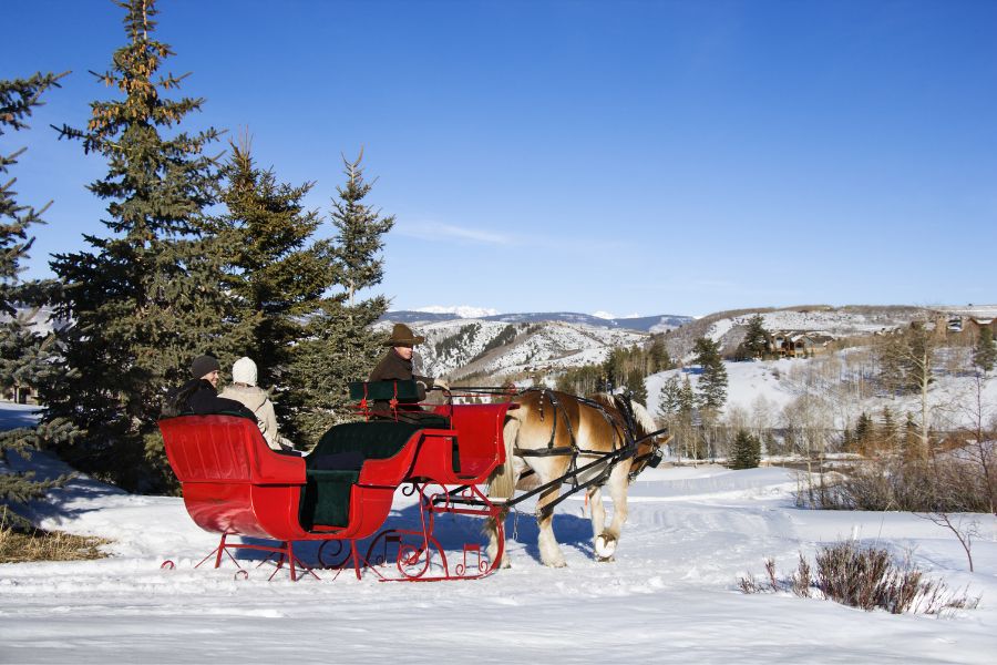 image shows a red sleigh being pulled by horses in snow