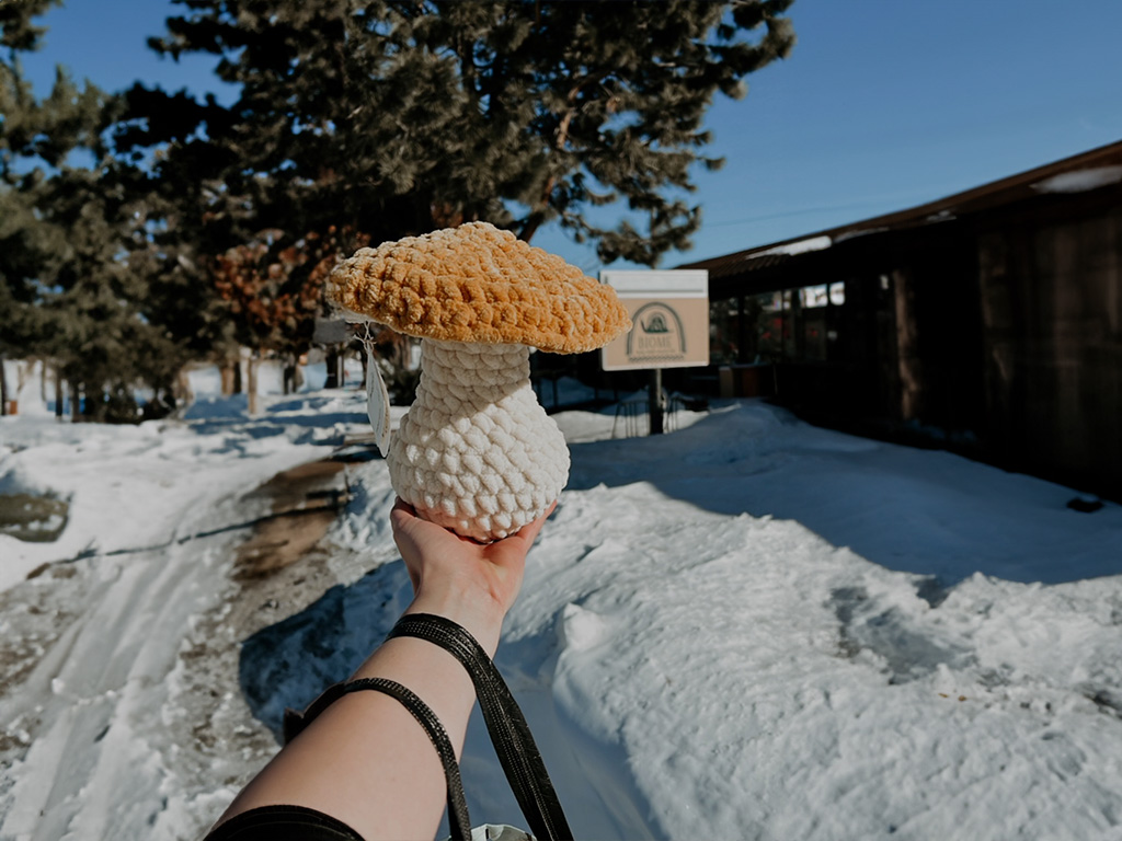 image shows an arm extended holding a hand made mushroom pillow